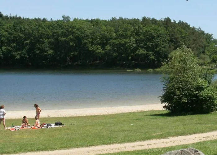 Кемпинг Mobil-home 6 Pers. - Terrasse Au - Api-1-52-1317 Saint-Gerons