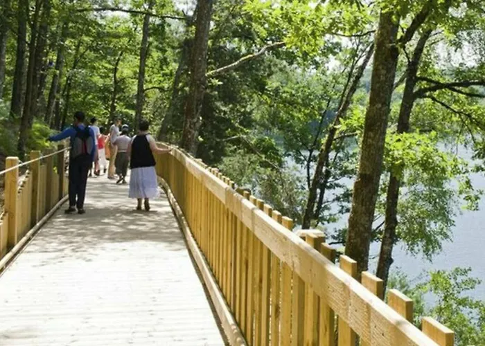 Mobil-home 6 Pers. - Terrasse Au - Api-1-52-1317 Saint-Gerons